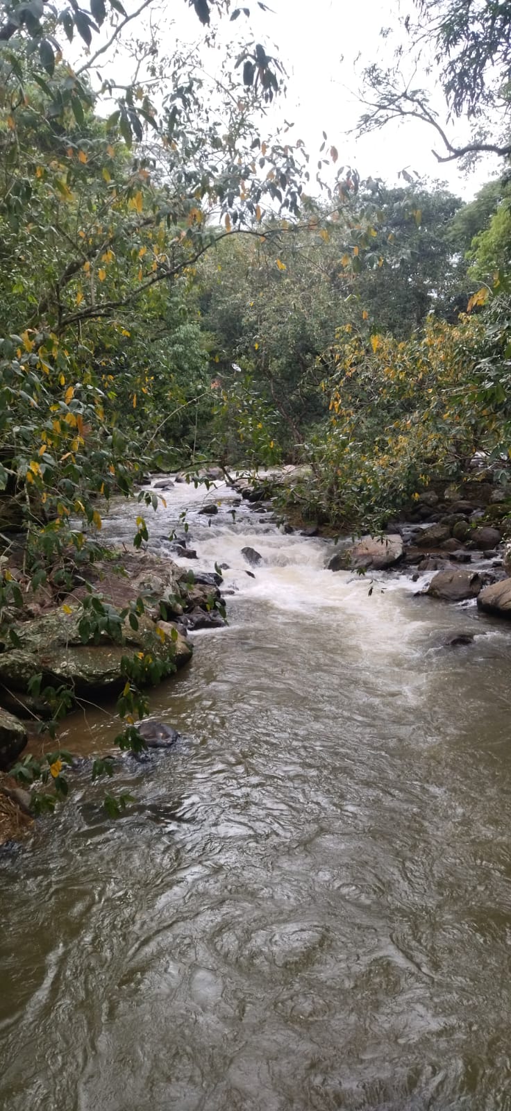Plantas Ambientais e Faixa Marginal de Proteção