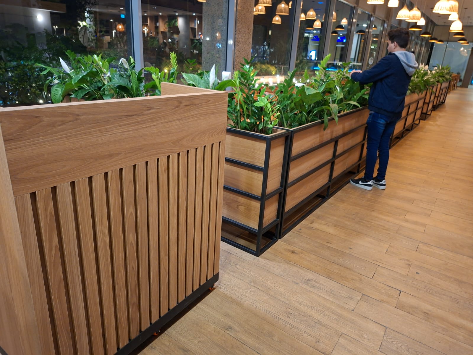 Jardins Suspensos e em Canteiros